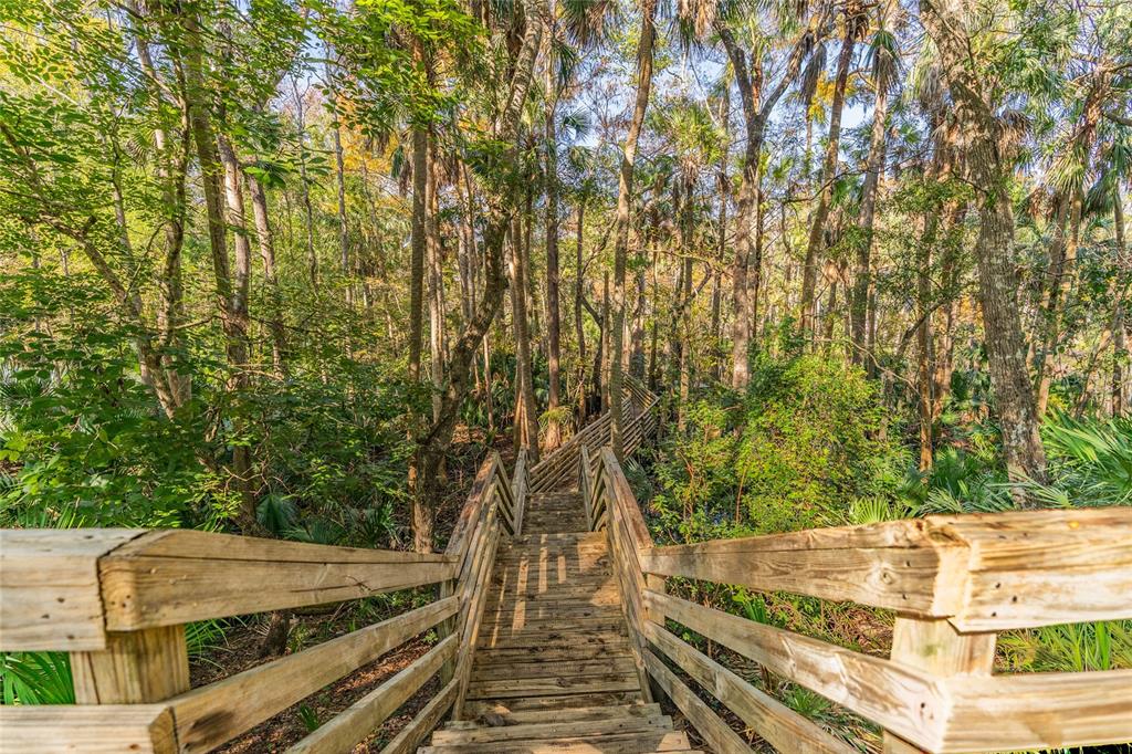 1985 Rutgers Place, Unit 1985 Port Orange, FL 32128 - Photo 52 of 56 a view of outdoor space and yard