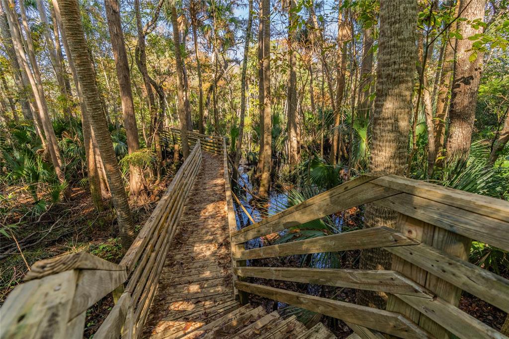 1985 Rutgers Place, Unit 1985 Port Orange, FL 32128 - Photo 53 of 56 a view of an outdoor space
