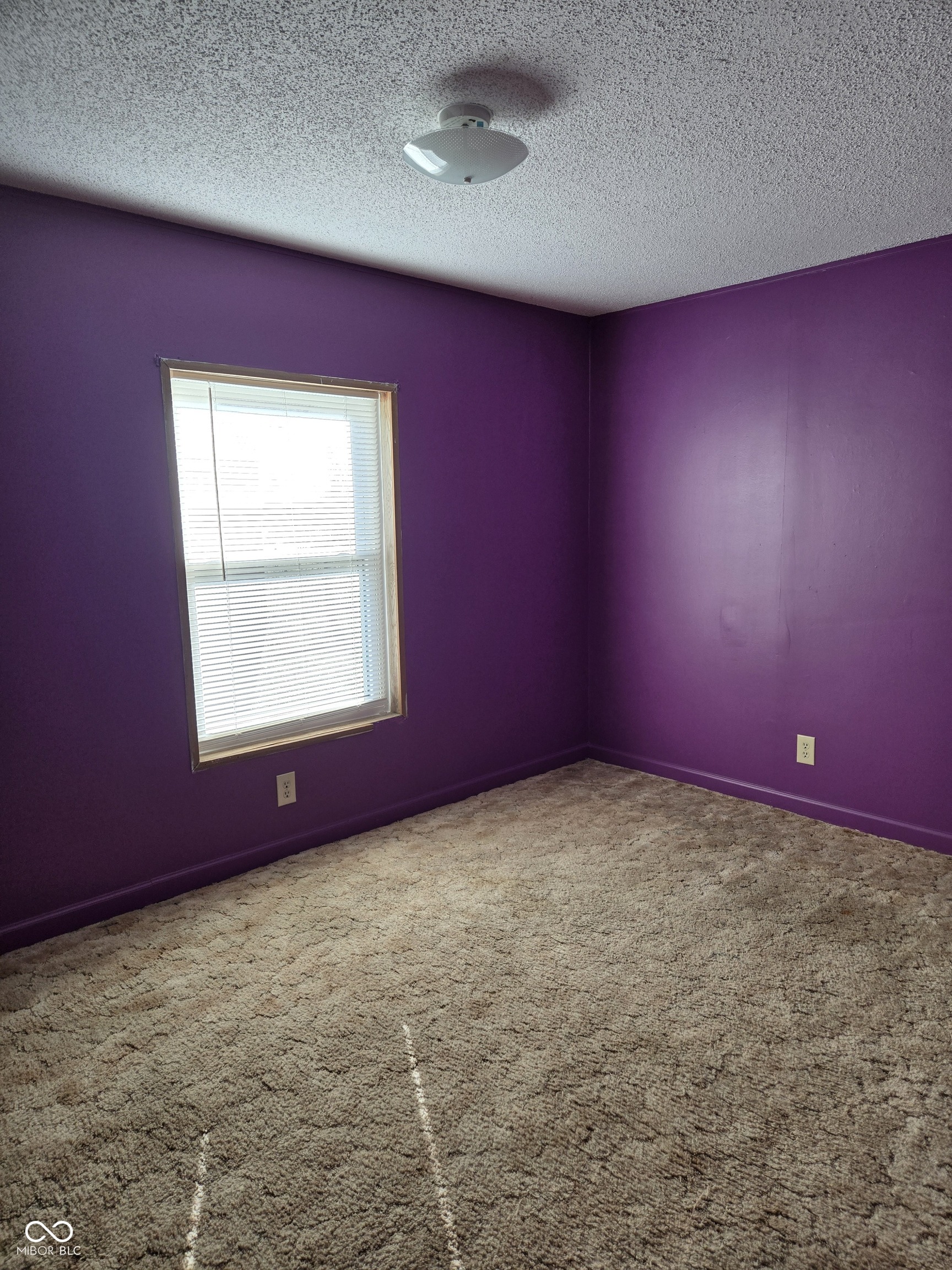 19713 Hague Road Noblesville, IN 46062 - Photo 10 of 15