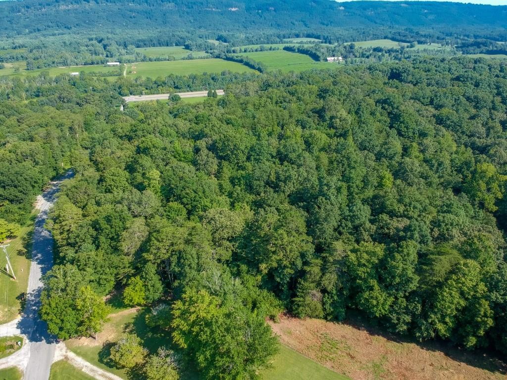 401 Ault Road Spring City, TN 37381 - Photo 51 of 66 Gallery Image 51