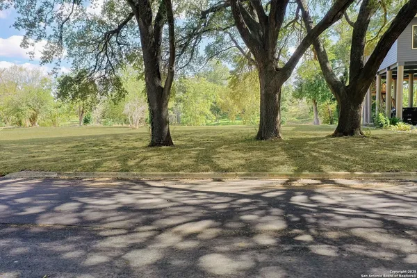 a big yard with lots of green space and tree
