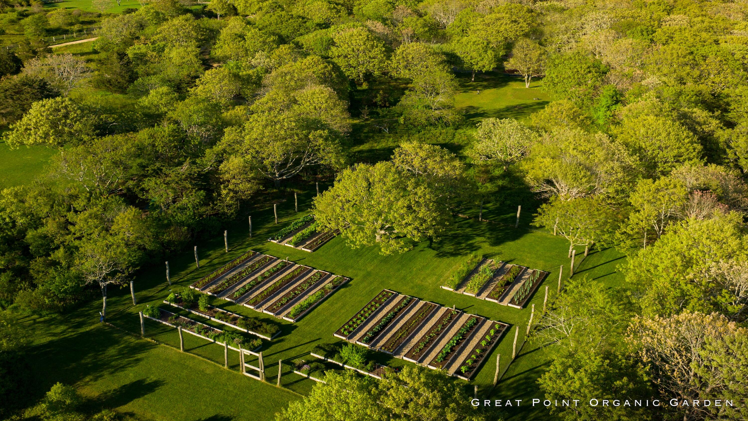 15 Forever Wild Way Edgartown, MA 02539 - Photo 17 of 29 17 GREAT POINT