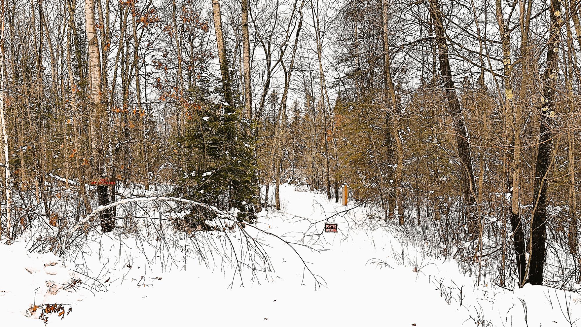 Lot 13 Pfeifer Road Tomahawk, WI 54487 - Photo 8 of 23 Gallery Image 8