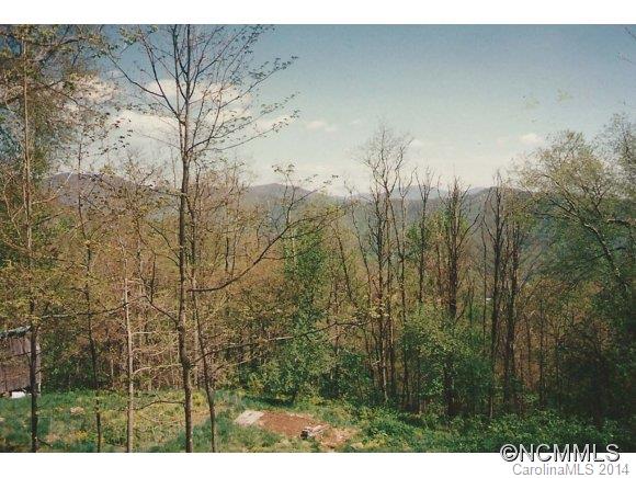 1171 Cook Town Road Bakersville, NC 28705 - Photo 15 of 22 Gallery Image 15