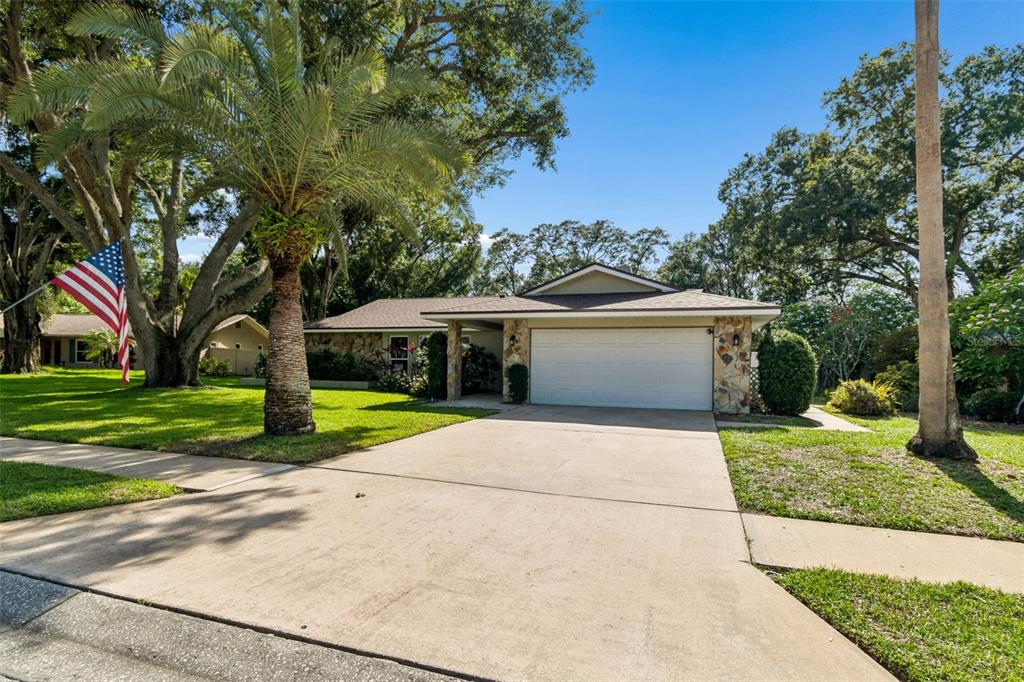 515 Sandy Hook Road Palm Harbor, FL 34683 - Photo 24 of 83 Gallery Image 24