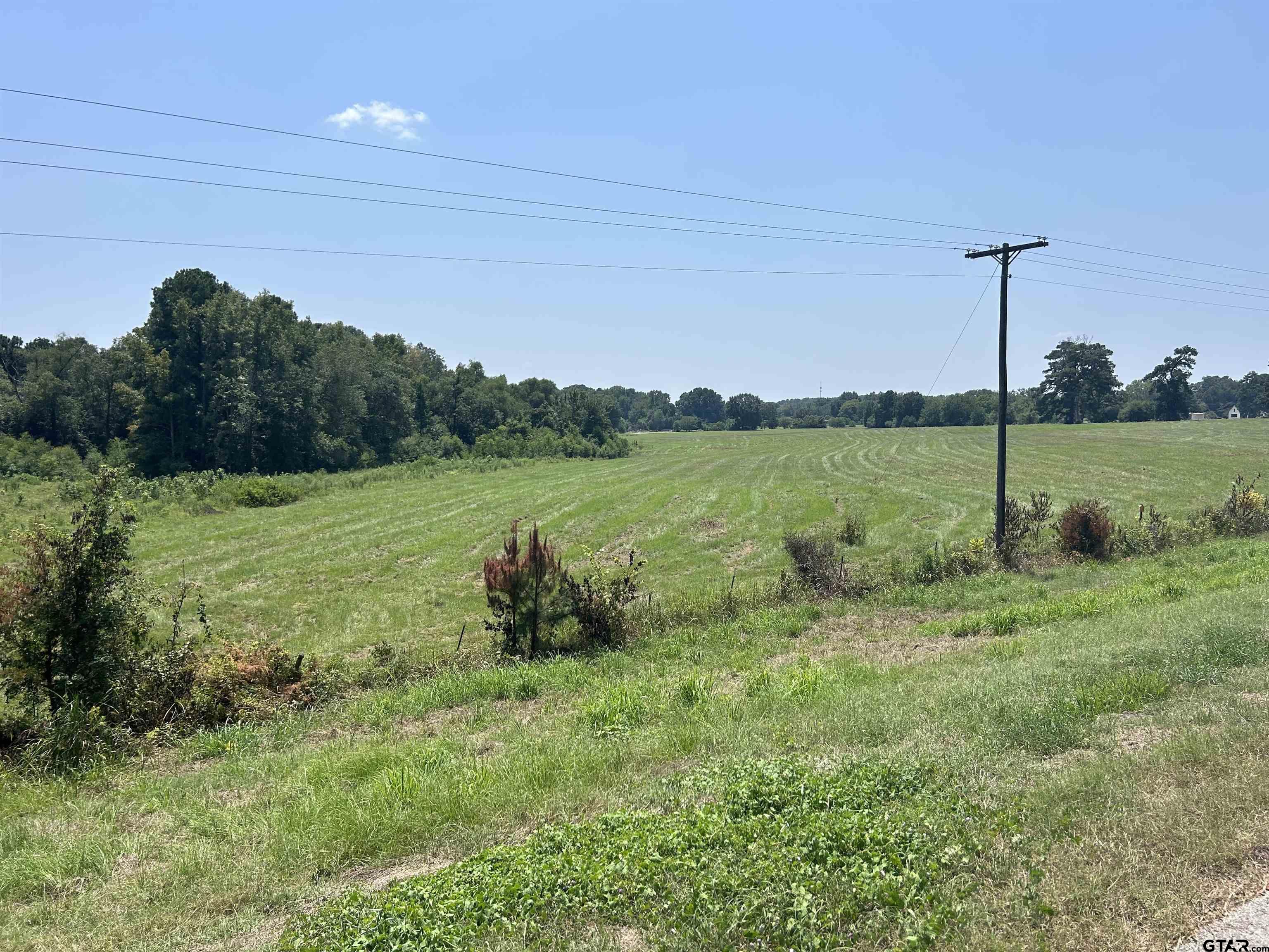 22173 Highway 135 Troup, TX 75789 - Photo 15 of 23 a view of a field with a tree in a yard