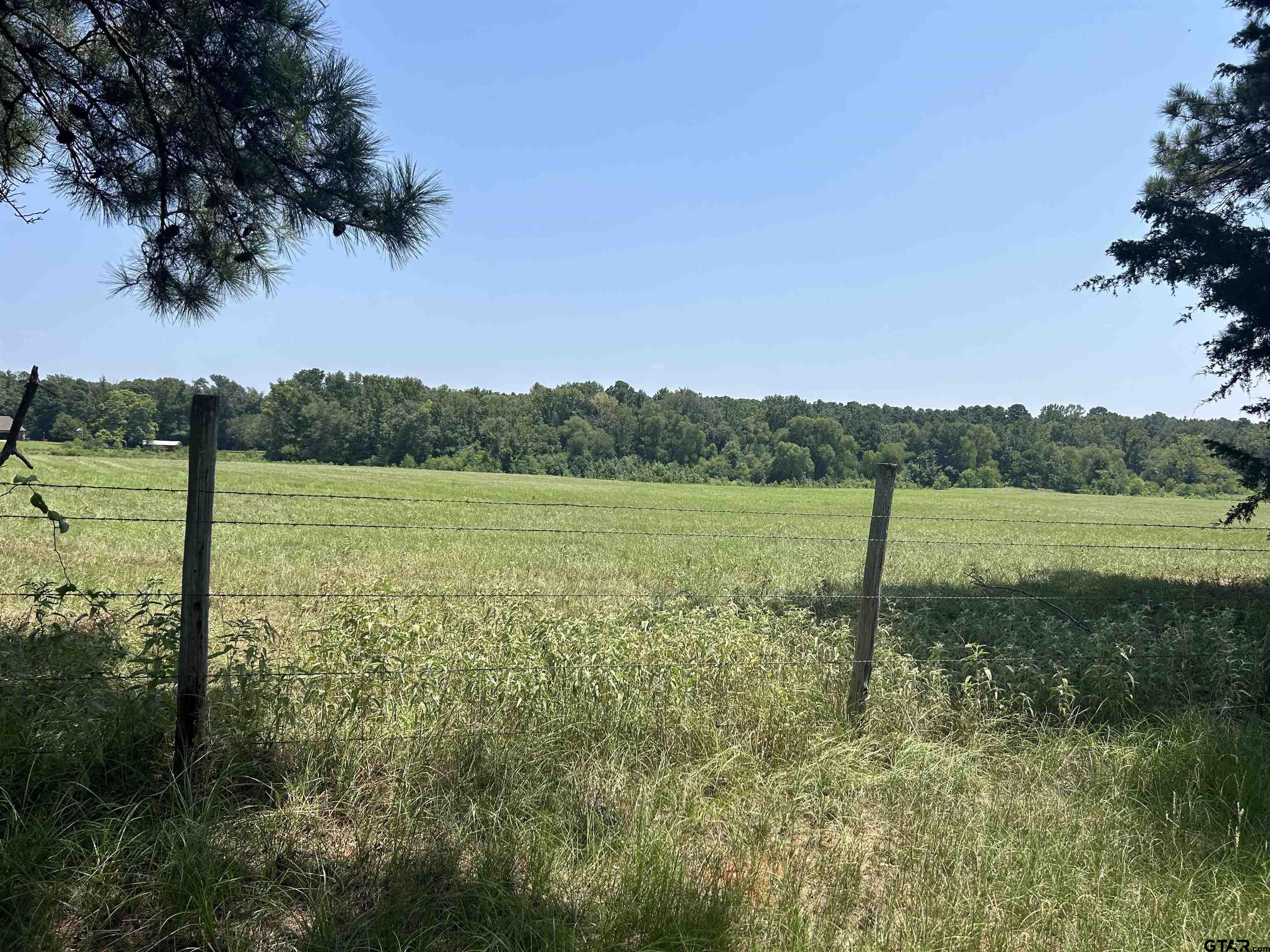 22173 Highway 135 Troup, TX 75789 - Photo 20 of 23 a view of a field with a tree