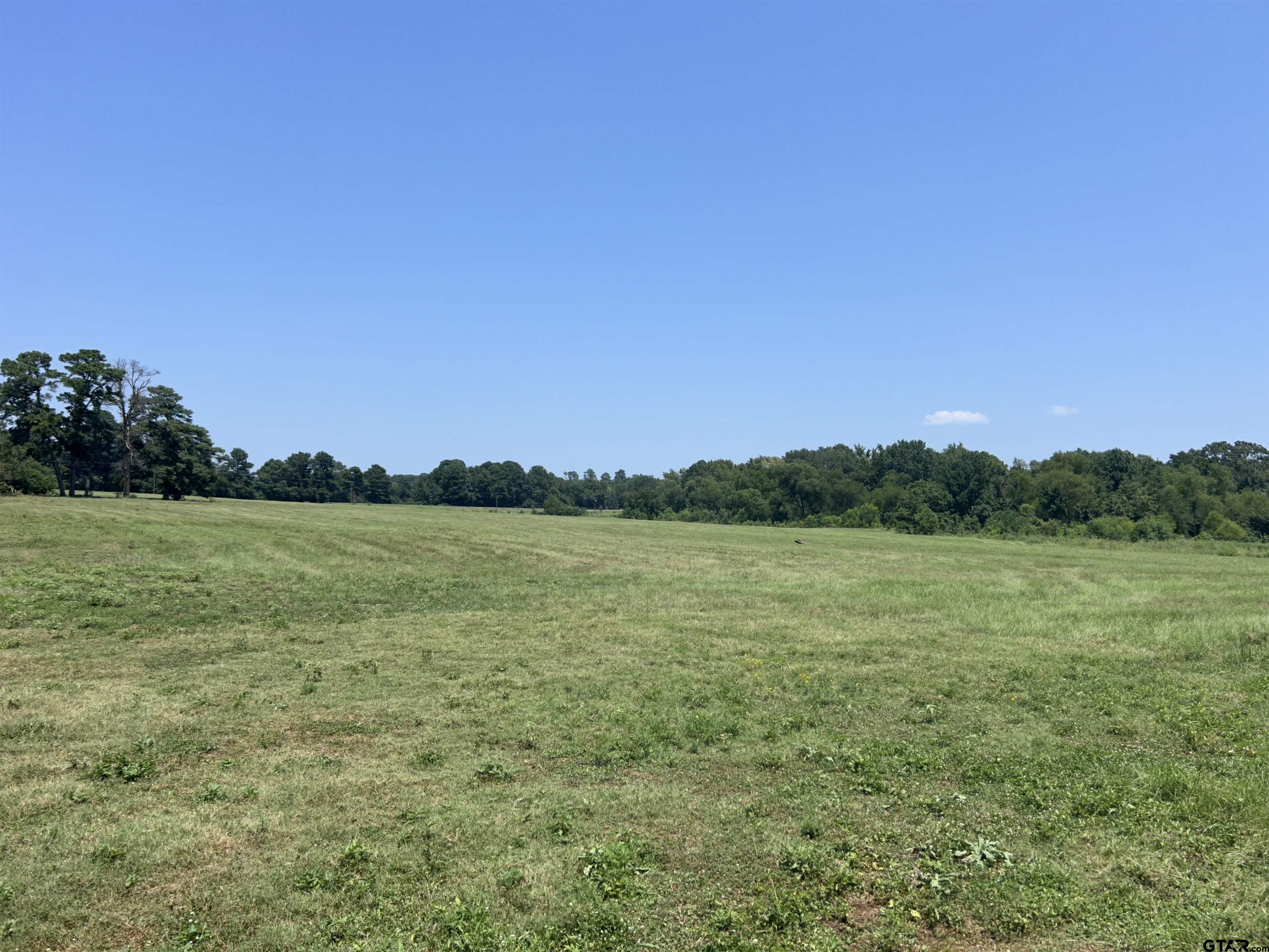 22173 Highway 135 Troup, TX 75789 - Photo 2 of 23 a view of lake and mountain view