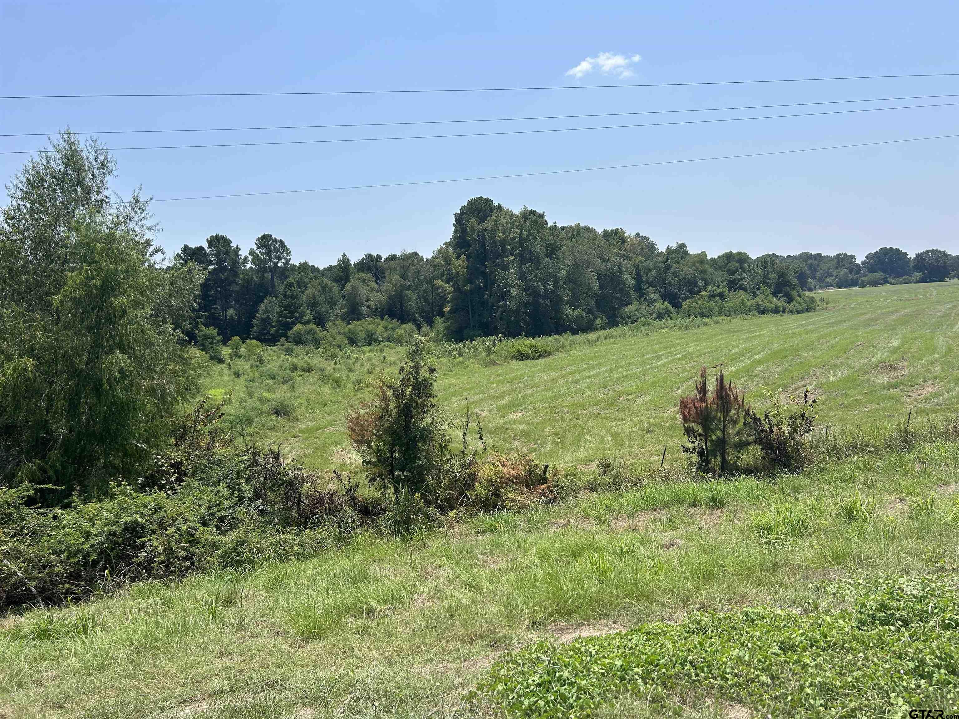 22173 Highway 135 Troup, TX 75789 - Photo 7 of 23 a view of a lush green space