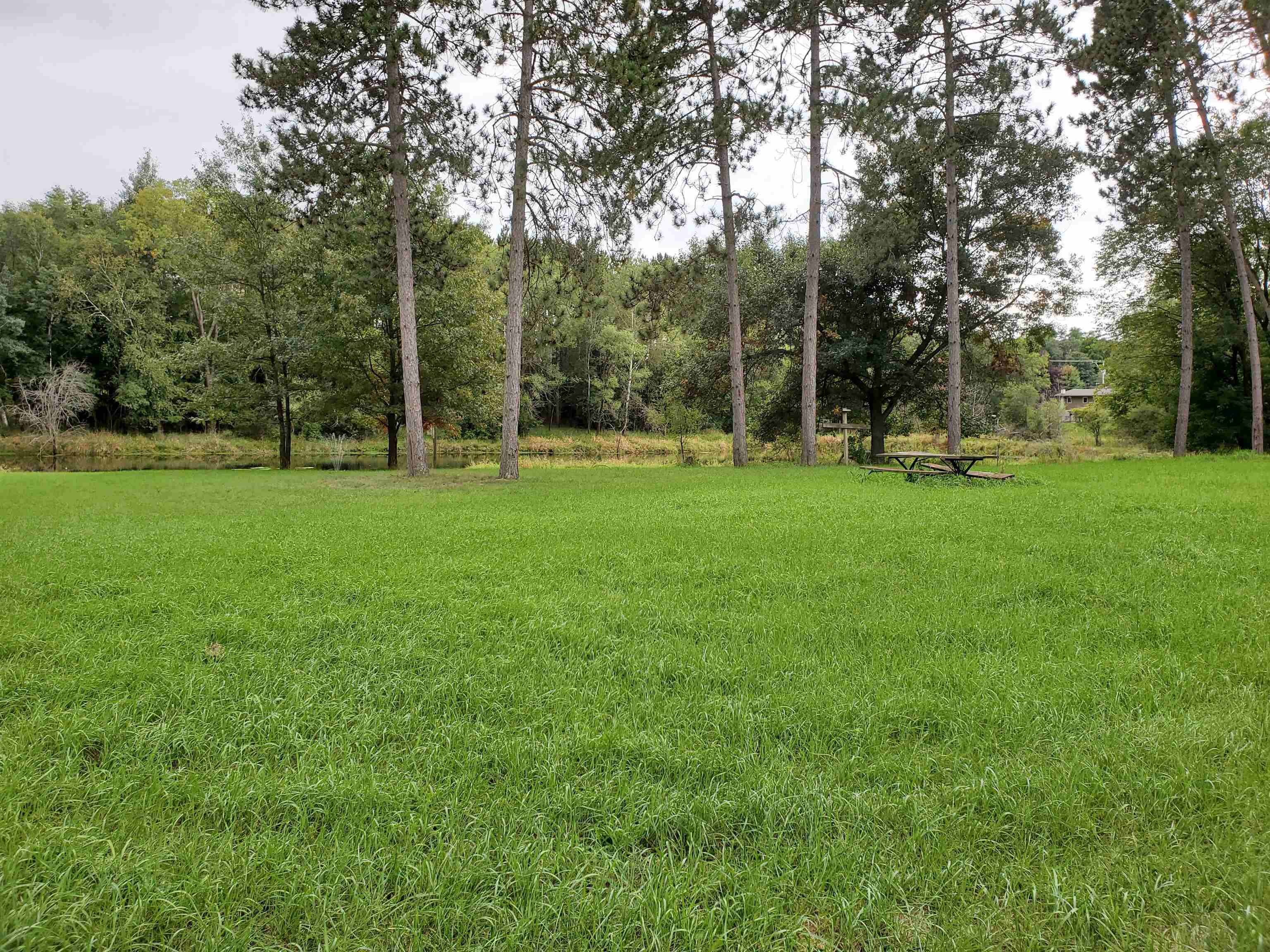 1000 County Rd QQ Waupaca, WI 54981 - Photo 6 of 8