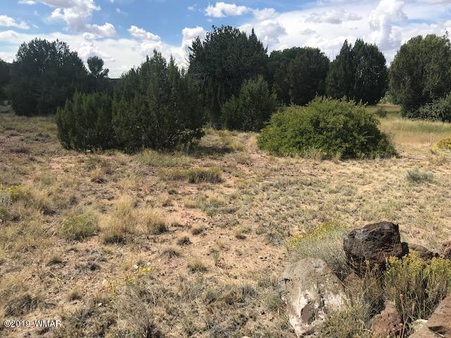 4 Pate Lane Concho, AZ 85924 - Photo 15 of 18