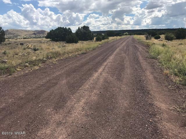 4 Pate Lane Concho, AZ 85924 - Photo 16 of 18