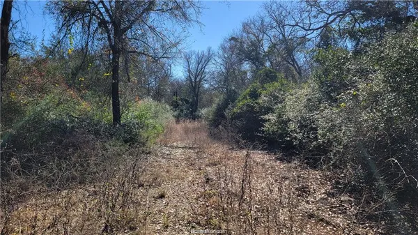 $799,900 | Lot 12 High Meadow Trail, Franklin, TX 77856