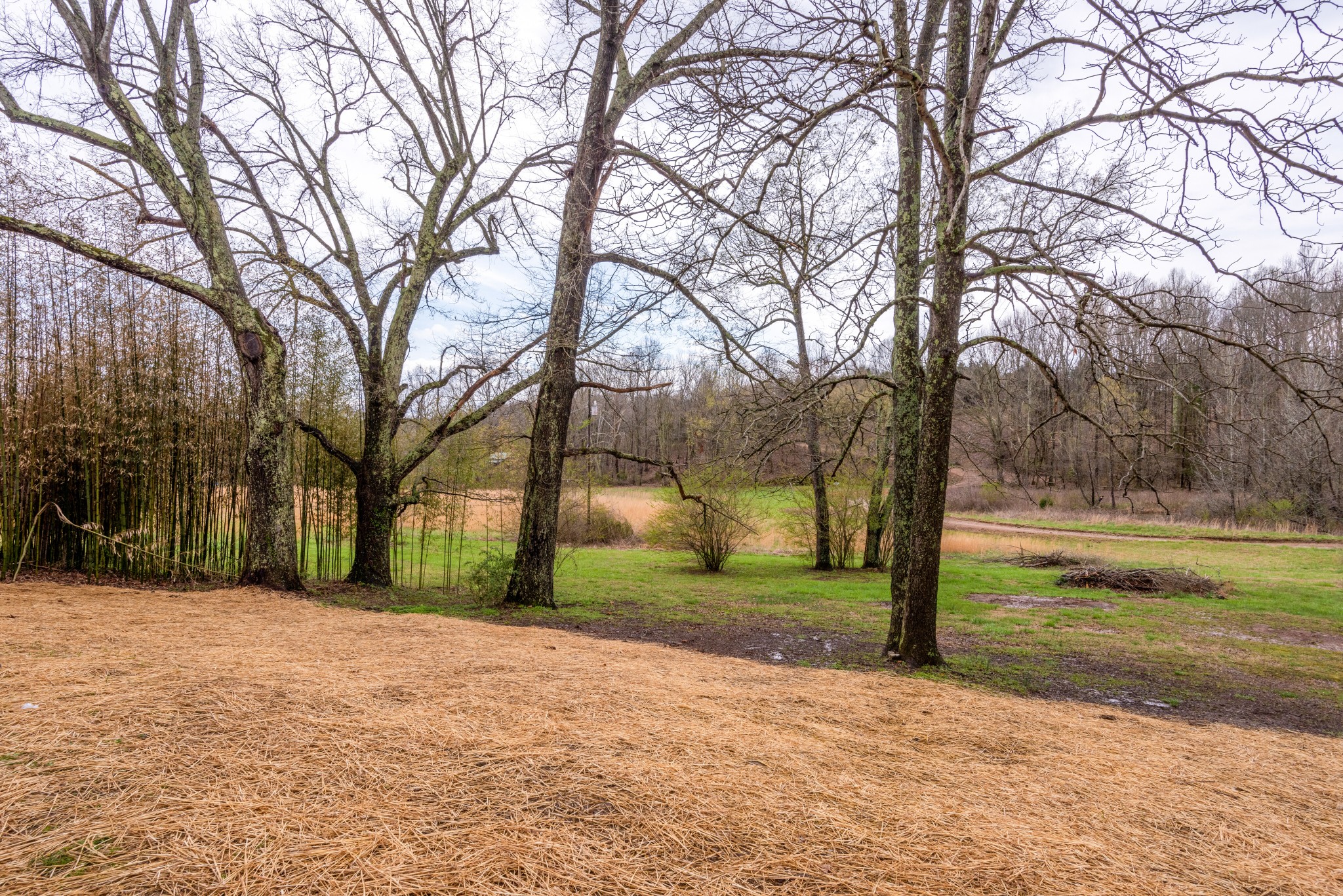 151 Grace Road Bon Aqua, TN 37025 - Photo 27 of 27 Gallery Image 27