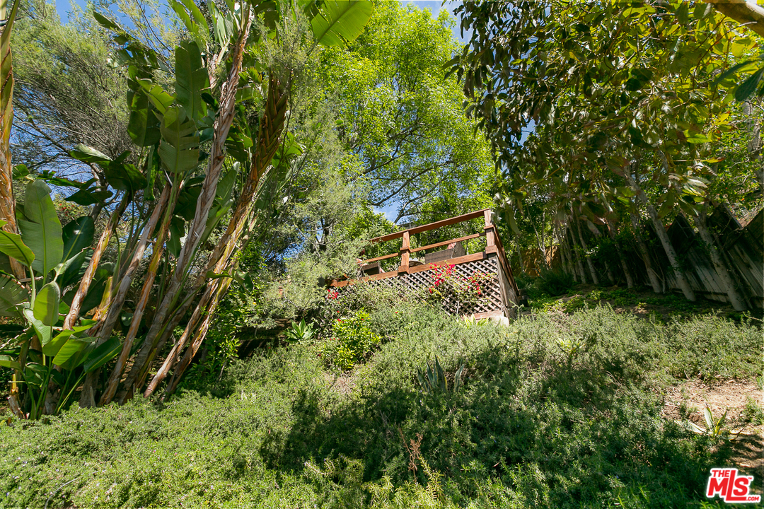 1600 Queens Road Los Angeles, CA 90069 - Photo 27 of 35 a backyard of a house with lots of green space