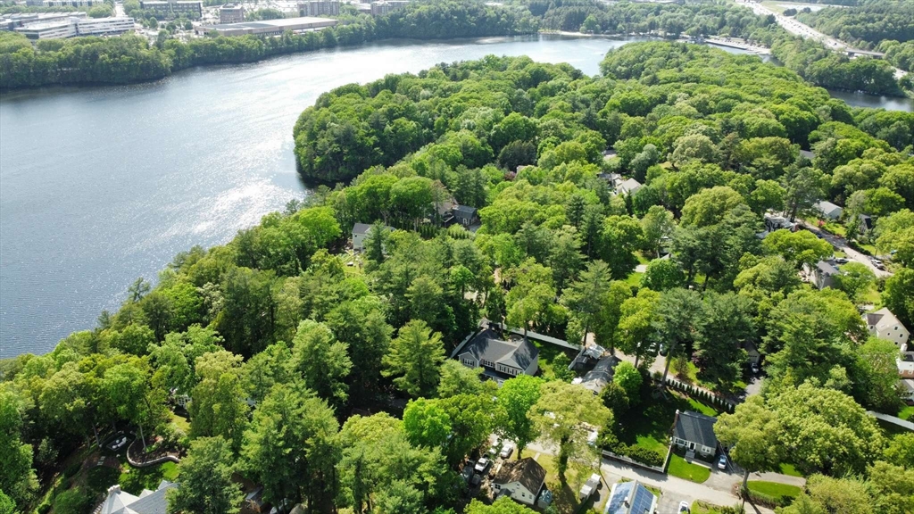 32 Birch Road Natick, MA 01760 - Photo 34 of 38 a view of a garden with a lake view