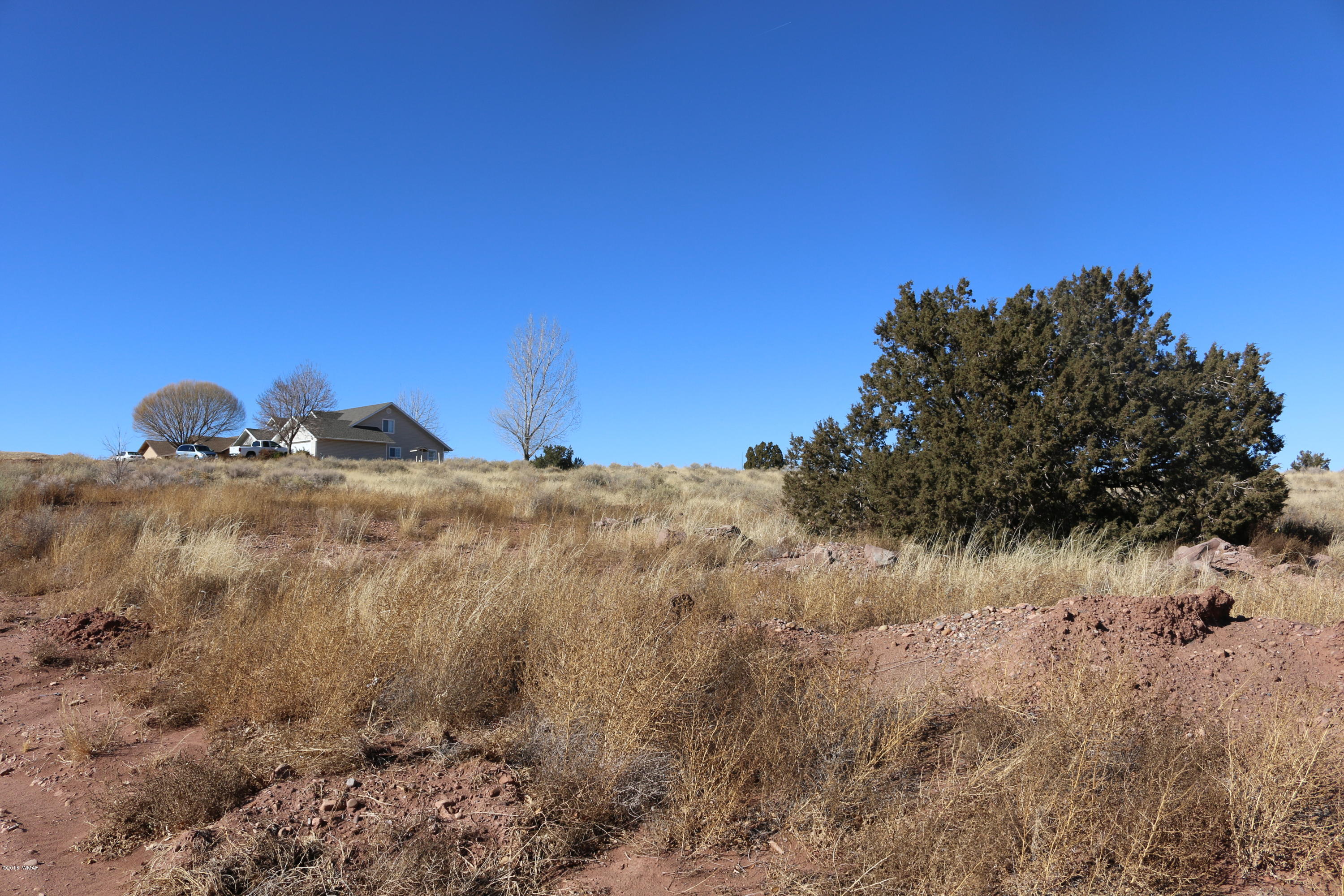 100 West Snowflake, AZ 85937 - Photo 11 of 12