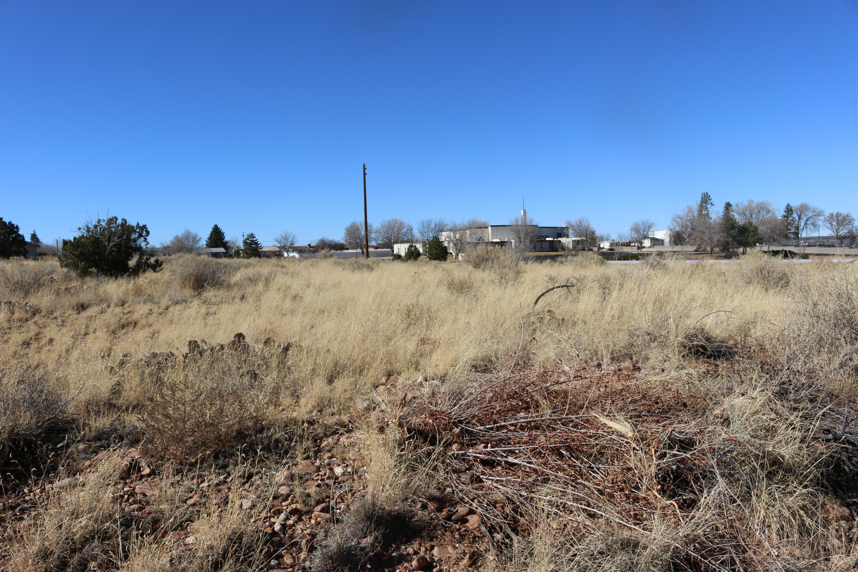100 West Snowflake, AZ 85937 - Photo 6 of 12