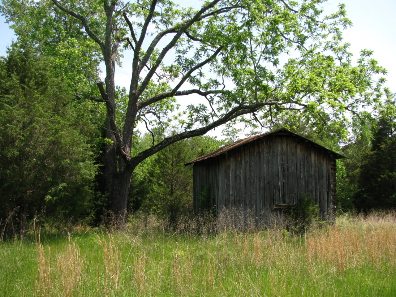 1168 Piney Road Gretna, VA 24557 - Photo 12 of 22 Another outbuilding