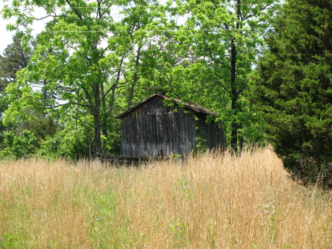 1168 Piney Road Gretna, VA 24557 - Photo 14 of 22 Great scenery