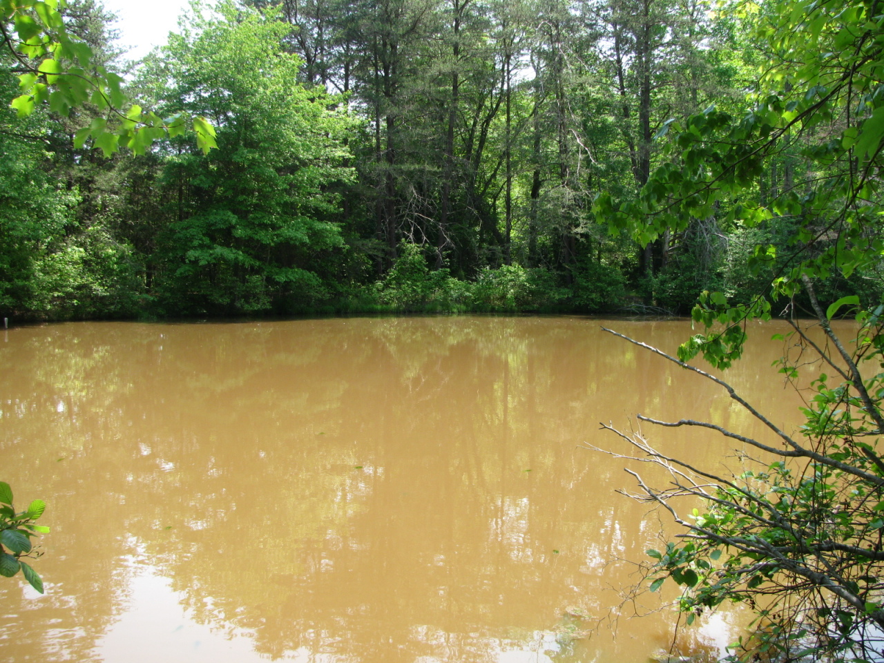 1168 Piney Road Gretna, VA 24557 - Photo 15 of 22 Stocked I Believe