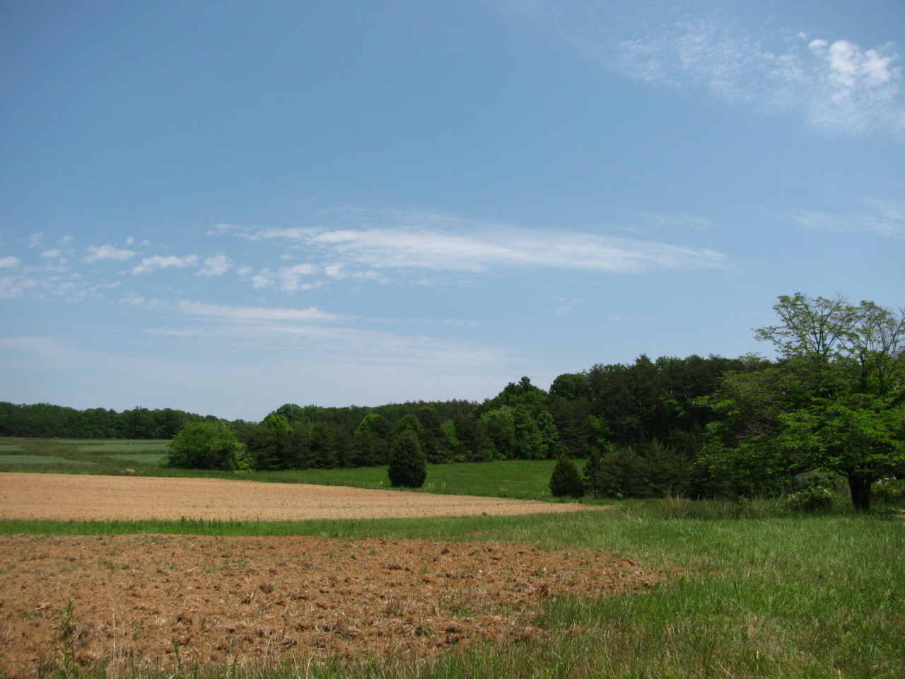 1168 Piney Road Gretna, VA 24557 - Photo 16 of 22 Love This View