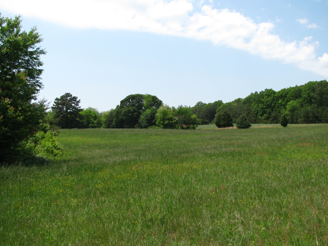1168 Piney Road Gretna, VA 24557 - Photo 17 of 22 Another field