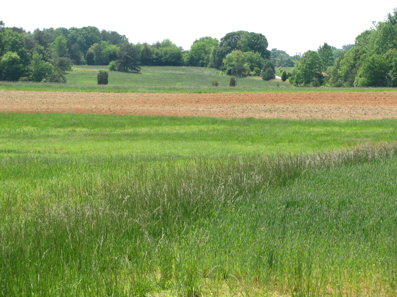 1168 Piney Road Gretna, VA 24557 - Photo 21 of 22 More open fields