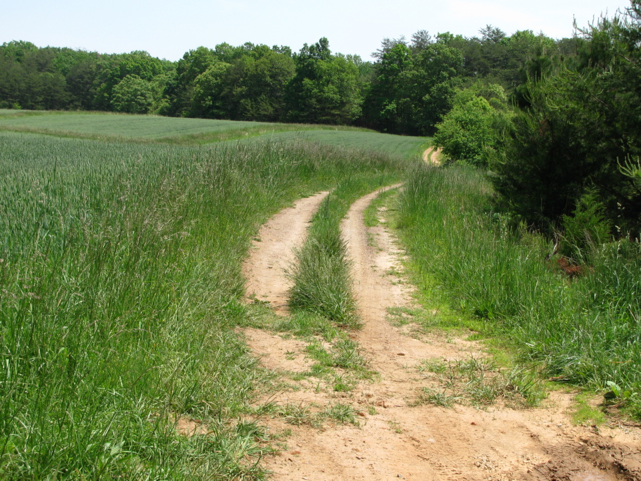 1168 Piney Road Gretna, VA 24557 - Photo 22 of 22 Farmroad
