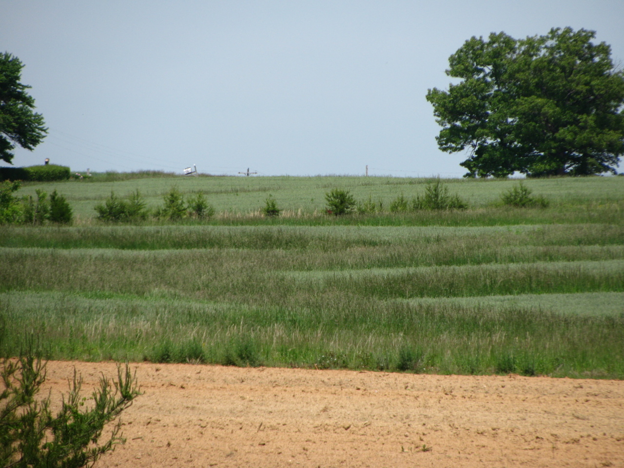 1168 Piney Road Gretna, VA 24557 - Photo 7 of 22 Open acreage