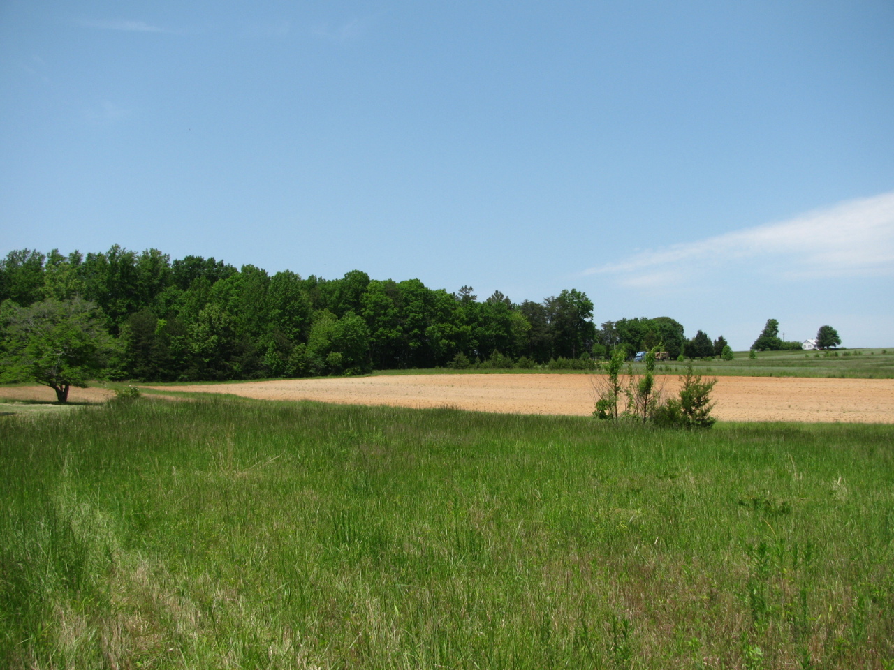 1168 Piney Road Gretna, VA 24557 - Photo 9 of 22 Almost flat farmland