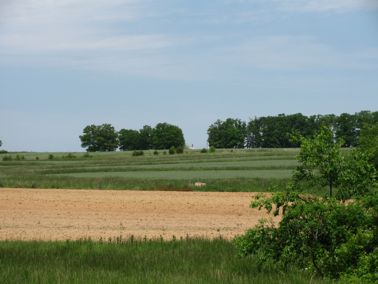 1168 Piney Road Gretna, VA 24557 - Photo 10 of 22 More nice fields