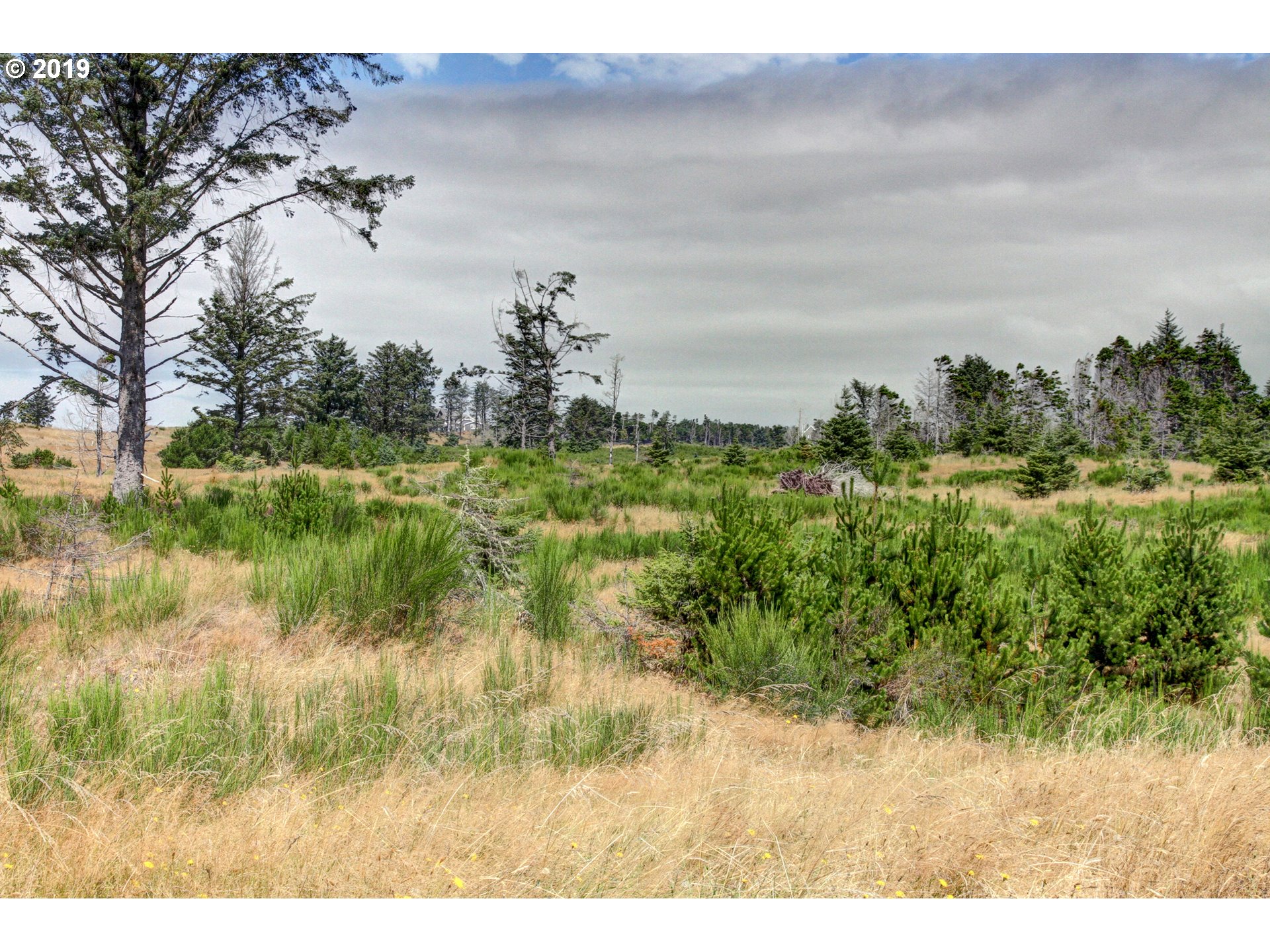Pinehurst Road, Unit 31 Gearhart, OR 97138 - Photo 9 of 9 Gallery Image 9