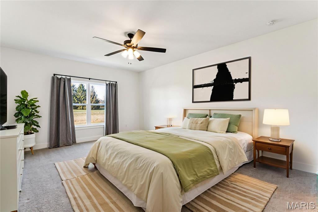 617 Tea Olive Boulevard O'Fallon, IL 62269 - Photo 15 of 45