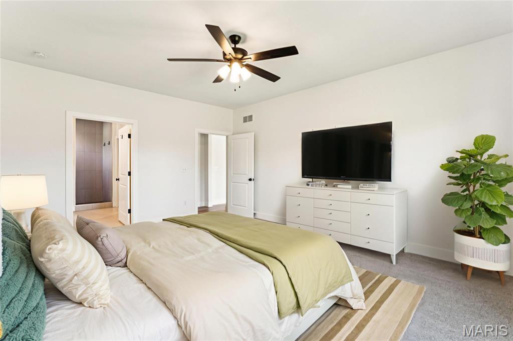 617 Tea Olive Boulevard O'Fallon, IL 62269 - Photo 17 of 45