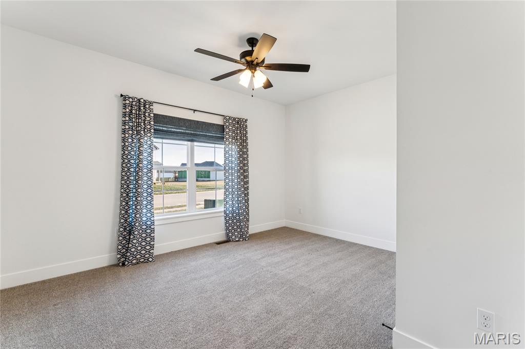 617 Tea Olive Boulevard O'Fallon, IL 62269 - Photo 21 of 45