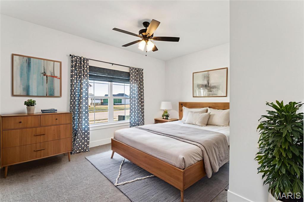 617 Tea Olive Boulevard O'Fallon, IL 62269 - Photo 22 of 45