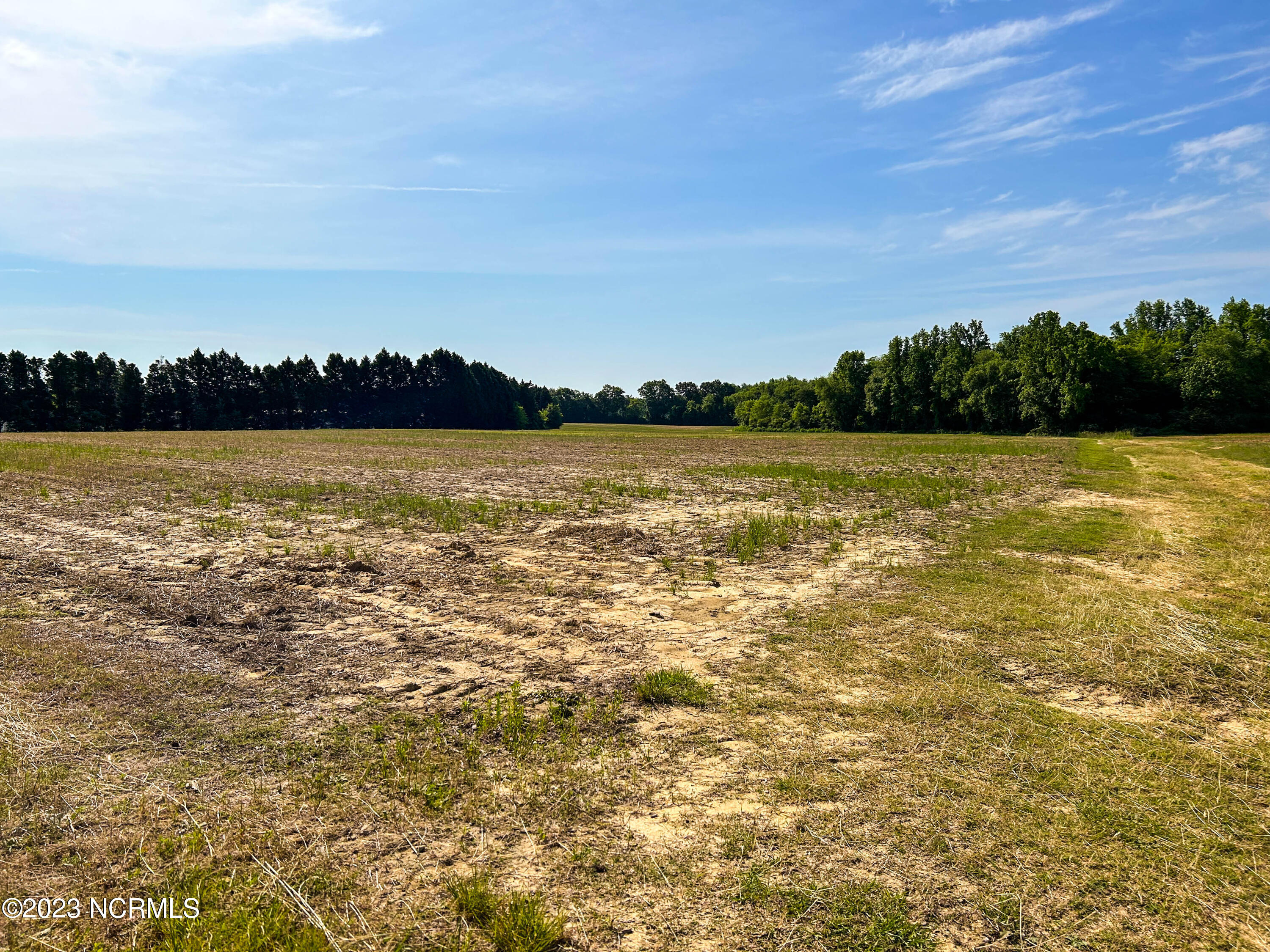 0 Harnett Central Road Angier, NC 27501 - Photo 8 of 16 Butts 26.75-2