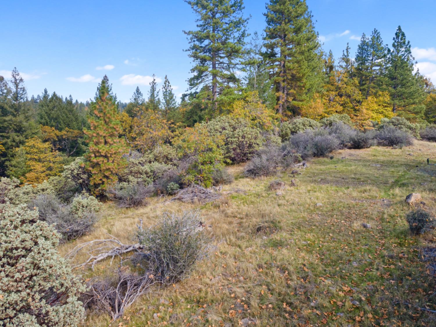 0 Starkes Grade Road Pollock Pines, CA 95726 - Photo 15 of 23