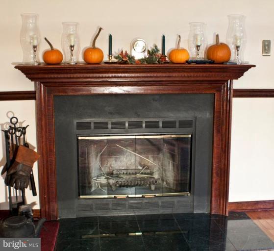 6225 Patuxent Quarter Road Hanover, MD 21076 - Photo 11 of 28 Fireplace