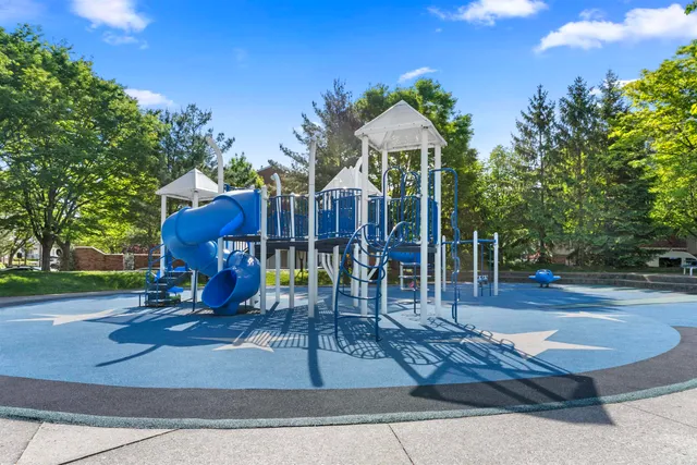 a view of a park with entertaining space