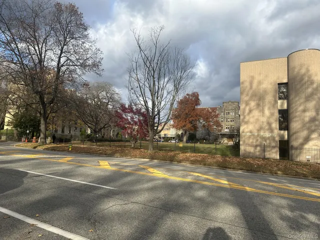 a view of a yard with large trees