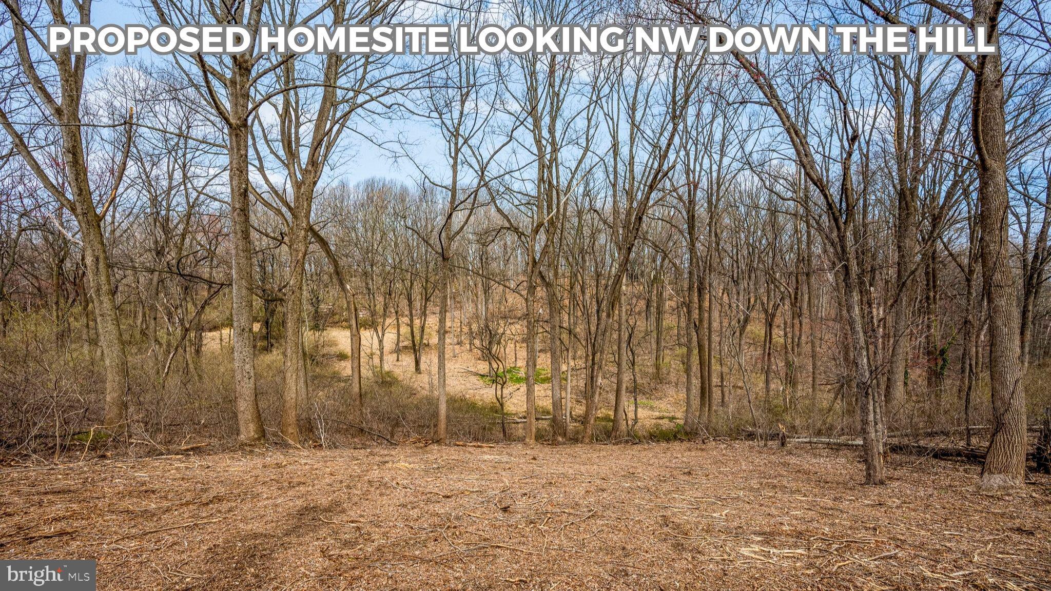 1418 Gallagherville Road Downingtown, PA 19335 - Photo 13 of 21 proposed homesite looking northwest down the hill