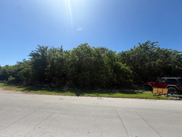 a view of a yard with potted plants