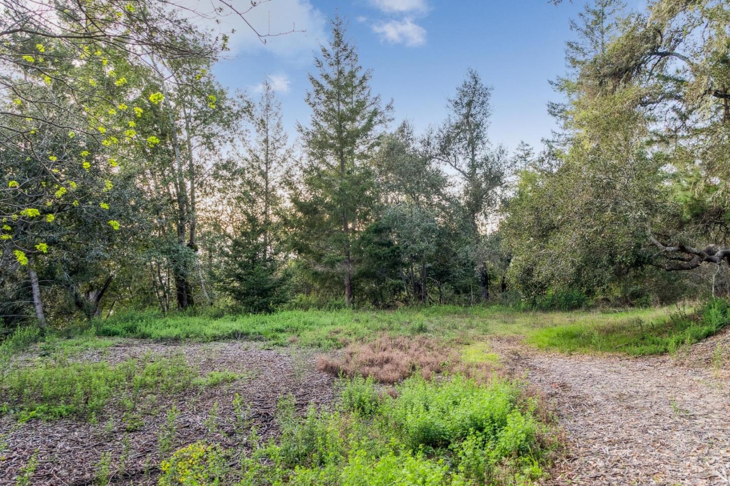600 Ridge Top Road Los Gatos, CA 95033 - Photo 79 of 81 a view of a grassy field with trees in the background