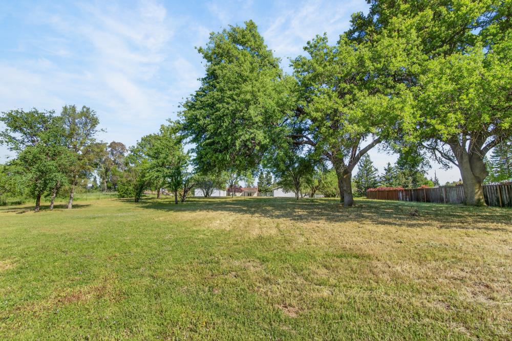 3167 Baseline Road Roseville, CA 95747 - Photo 58 of 63