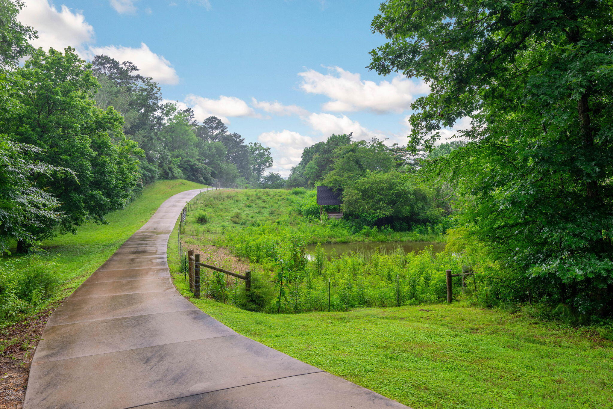 3057 Burning Bush Road Ringgold, GA 30736 - Photo 64 of 78 Private concrete driveway