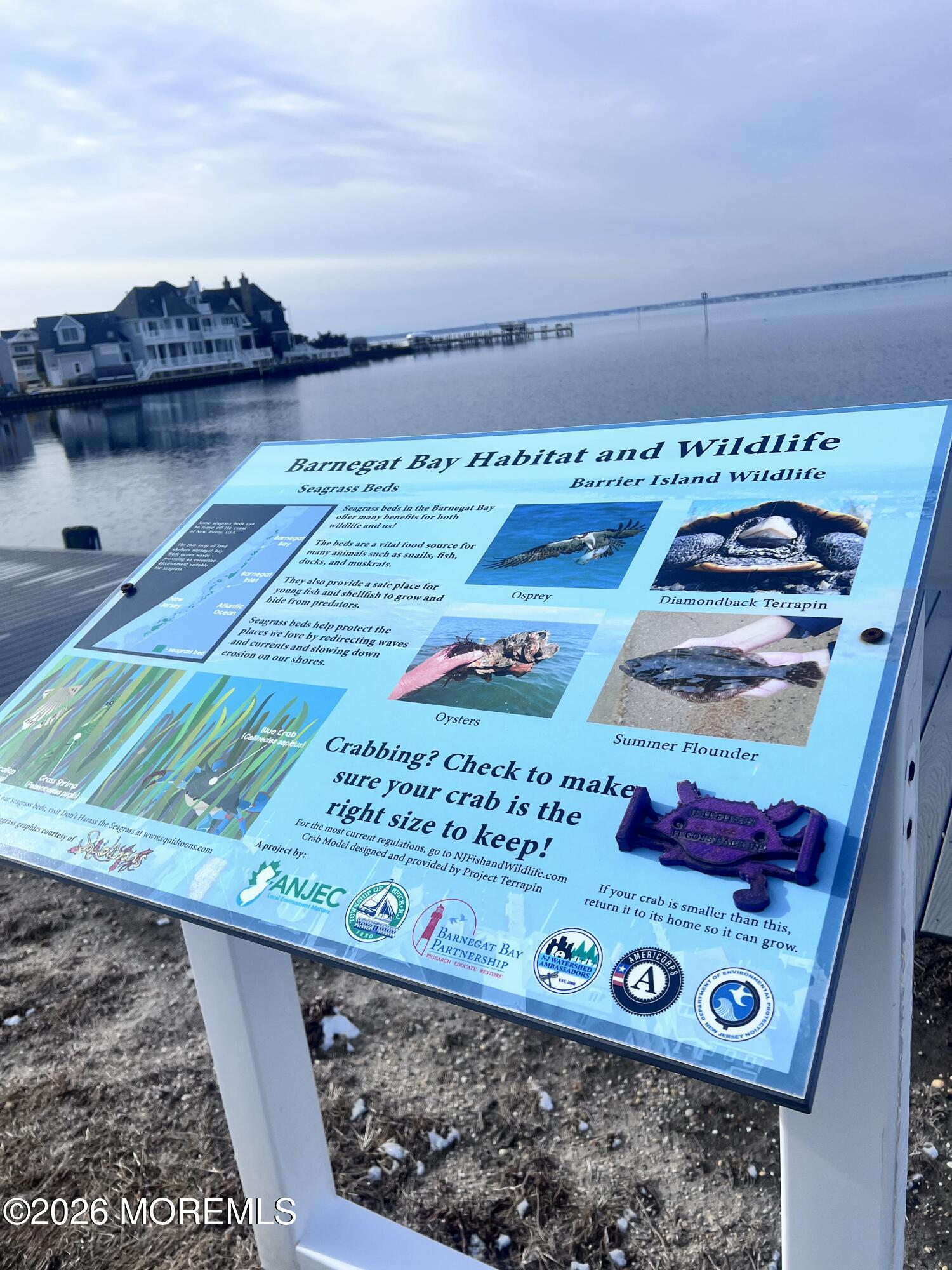 447 Highway 35 Mantoloking, NJ 08738 - Photo 15 of 39 IMG_5161