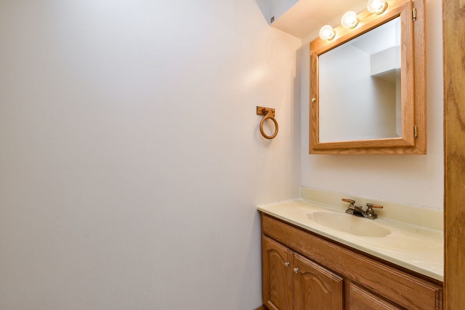 732 Robertson Road South Elgin, IL 60177 - Photo 8 of 37 a bathroom with a sink and a mirror