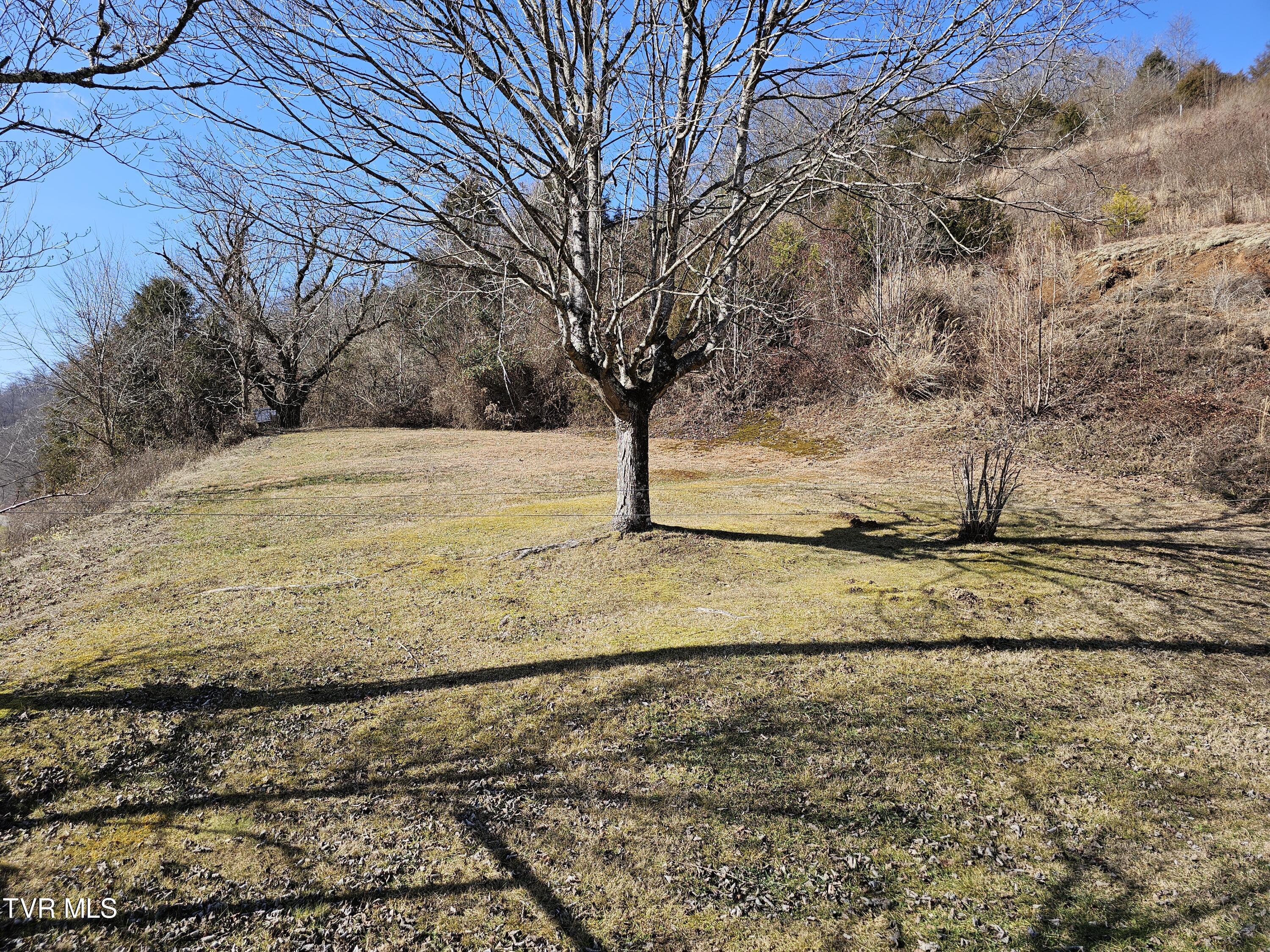 8156 Fairview Road Duffield, VA 24244 - Photo 49 of 61 1000017526
